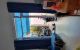 thum-m_IFUljRQ9ca_1733708617.jpeg