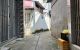 thum-9169421_x3rR6iFdOu_1733826666.jpg