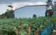 thum-9169606_kE54pM10Tm_1733908757.jpg
