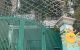 thum-9169642_rBPYzt2ewx_1733925630.jpg