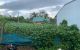 thum-m_ABmYyS1hf9_1733908754.jpg
