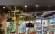 thum-9169863_4MTYSNwoXm_1734010468.jpg