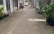 thum-m_qYZC5FJ8Ex_1733977458.jpg