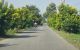 thum-9170061_e9IbUSTGhw_1734141196.jpg