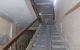 thum-9170089_uMBZcNRAr4_1734147495.jpg