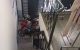 thum-9170111_KB7T6ZsN9m_1734150673.jpg