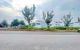 thum-9170155_ozX4rN6ds8_1734169087.jpg