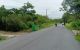 thum-m_zkJCadQs7m_1734141192.jpg
