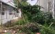 thum-9170230_ExwtCDn97Q_1734236947.jpeg