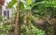thum-9170233_CUPM4DXenx_1734237398.jpeg
