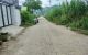 thum-m_bLV0JlirWf_1734423479.jpg