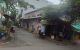 thum-m_tAYPaKmVbj_1734403164.jpg