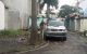 thum-9170774_C6rYngXDme_1734495975.jpg