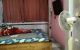 thum-m_DAwseMCcyj_1734510228.jpg