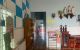 thum-9170998_hzxJgTu38G_1734594292.jpg