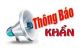 thum-9171125_jrgs40fMQb_1734627050.jpg