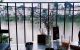 thum-m_jIYEUdeXRw_1734615515.jpg