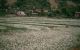 thum-9171256_q3oPxn90Gc_1734683336.jpg
