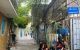 thum-m_SHTAGpu72e_1734689866.jpg