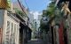 thum-9171349_L4tUIcWR5H_1734720420.jpeg
