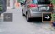 thum-9171381_kTAxb8KOCe_1734749218.jpg