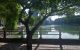 thum-9171460_TM8NxuX9sb_1734776587.jpg
