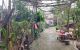 thum-9171473_d1i8CcKQWZ_1734786922.jpg