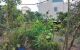 thum-9171473_zapKiIVY5N_1734786931.jpg