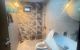 thum-9171476_N1eqIzu2hZ_1734787541.jpg
