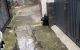thum-m_XT9whsPofA_1734748749.jpg