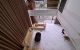 thum-m_bELAoI3Rni_1734718786.jpg