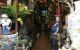 thum-9171635_xLbpI9wcyZ_1734878161.jpg