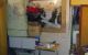 thum-m_l5KWOJsnmy_1734869470.jpg