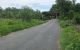 thum-9171828_bCEi924SeZ_1734944250.jpg