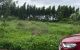 thum-m_fzpcja6YhO_1734944245.jpg