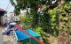 thum-m_vtcFkbS81l_1734969556.jpg