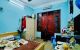 thum-9172017_Kd5EaLJGpx_1735030775.jpg