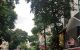 thum-m_gvm8T5IEph_1735002478.jpg