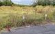 thum-m_onaF73eSCK_1735021992.jpg