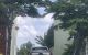 thum-9172182_Hmypju1XzD_1735112905.jpg