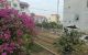 thum-9172214_8QuHBMZ9pI_1735125998.jpg