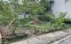 thum-m_SQkWwDn5iv_1735110549.jpg