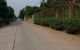 thum-m_ZGHAzqxgd6_1735098727.jpg