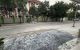 thum-9172261_Lnb1TsEySF_1735179050.jpeg
