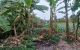thum-9172356_Y7A40KDsQg_1735198601.jpeg