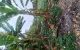 thum-9172356_r6BXgobhfi_1735198594.jpeg