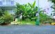 thum-9172371_0shMEFJeDw_1735200405.jpg