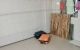 thum-m_mCWRKLkOTY_1735289215.jpg