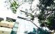 thum-m_rwJR4i19GD_1735344468.jpg
