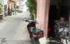 thum-9172782_cgeITatNLm_1735437972.jpg